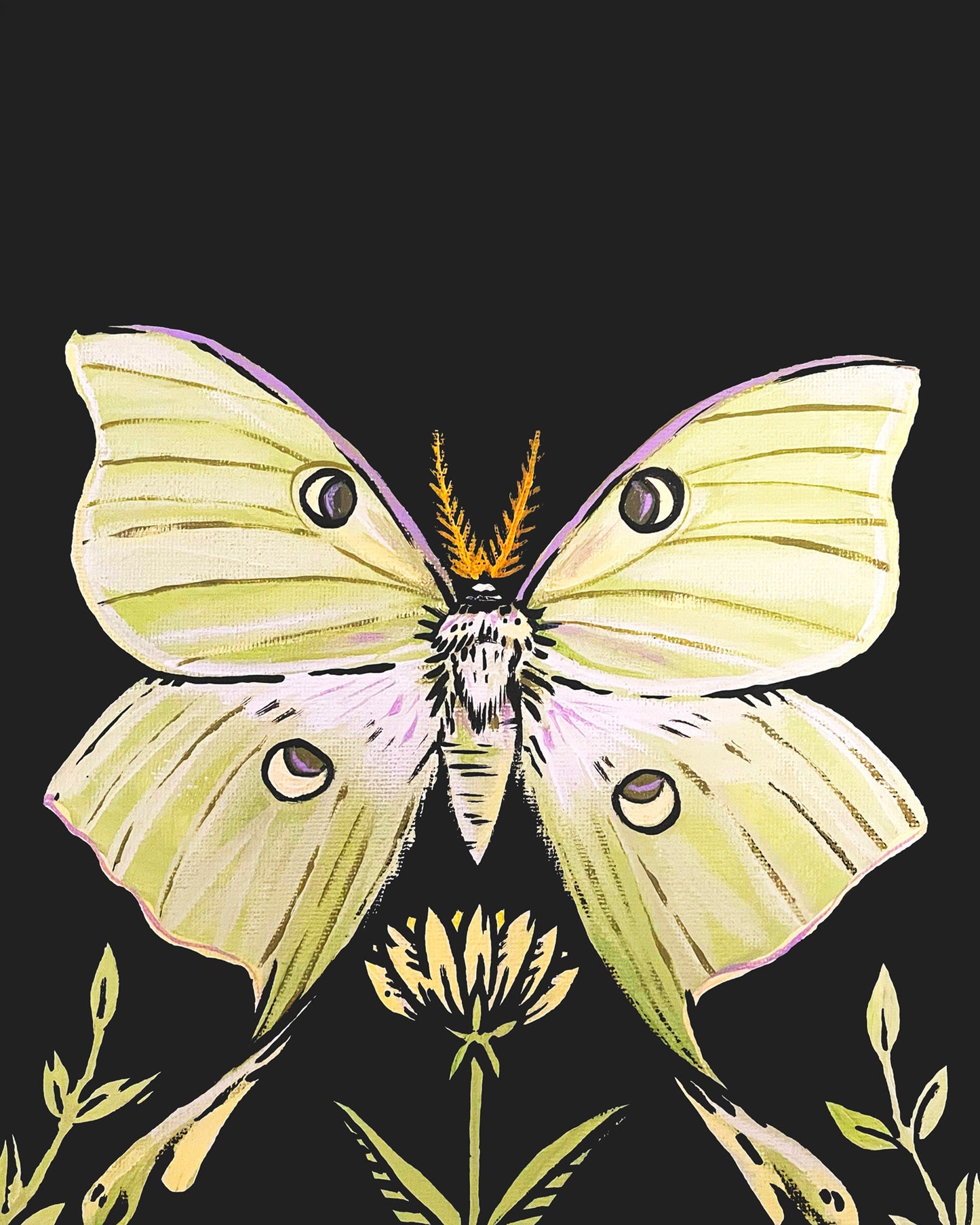 Luna Moth Print