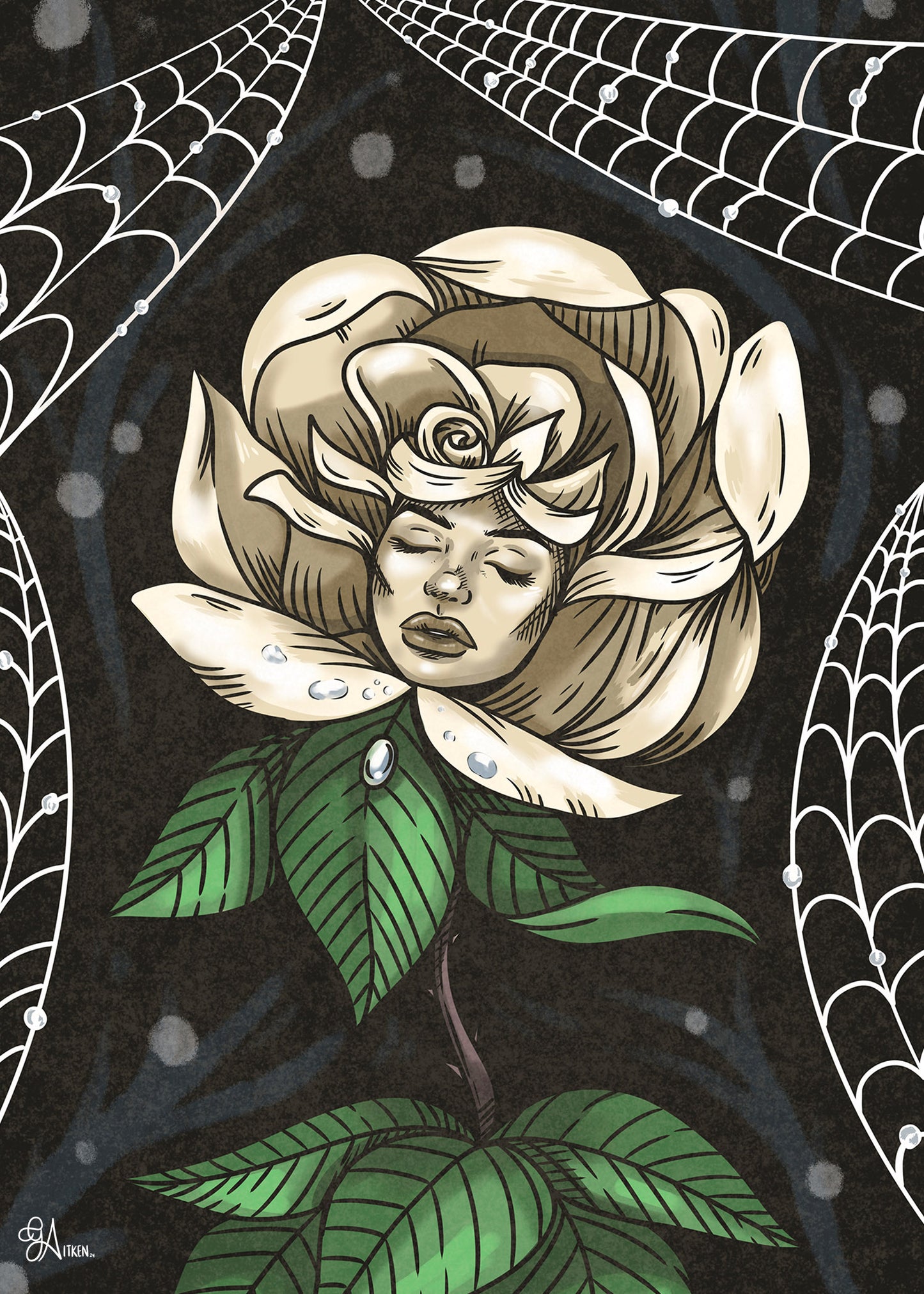 White Rose Print
