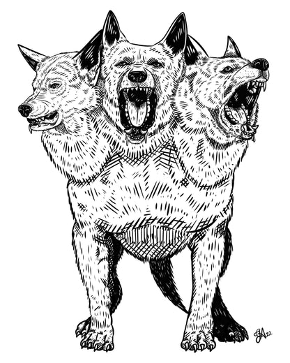 Cerberus 8x10 black and white art print of a three-headed dog with bared teeth and detailed crosshatched fur