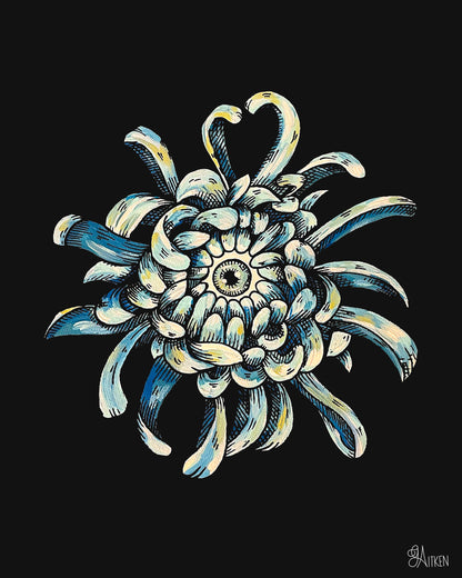 Chrysanthemum Print