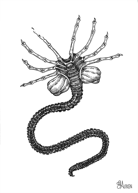 Facehugger – black and white pen illustration of the Alien creature with outstretched legs and curled tail, 5x7 print