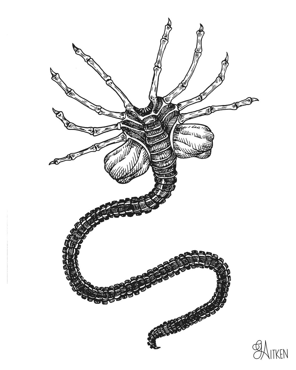 Facehugger – black and white pen illustration of the Alien creature with outstretched legs and curled tail, 8x10 print