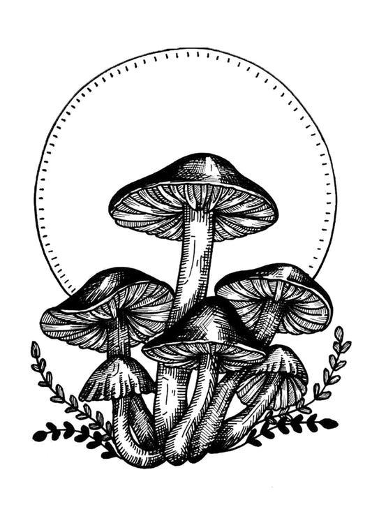 Mushrooms — 5x7 art print