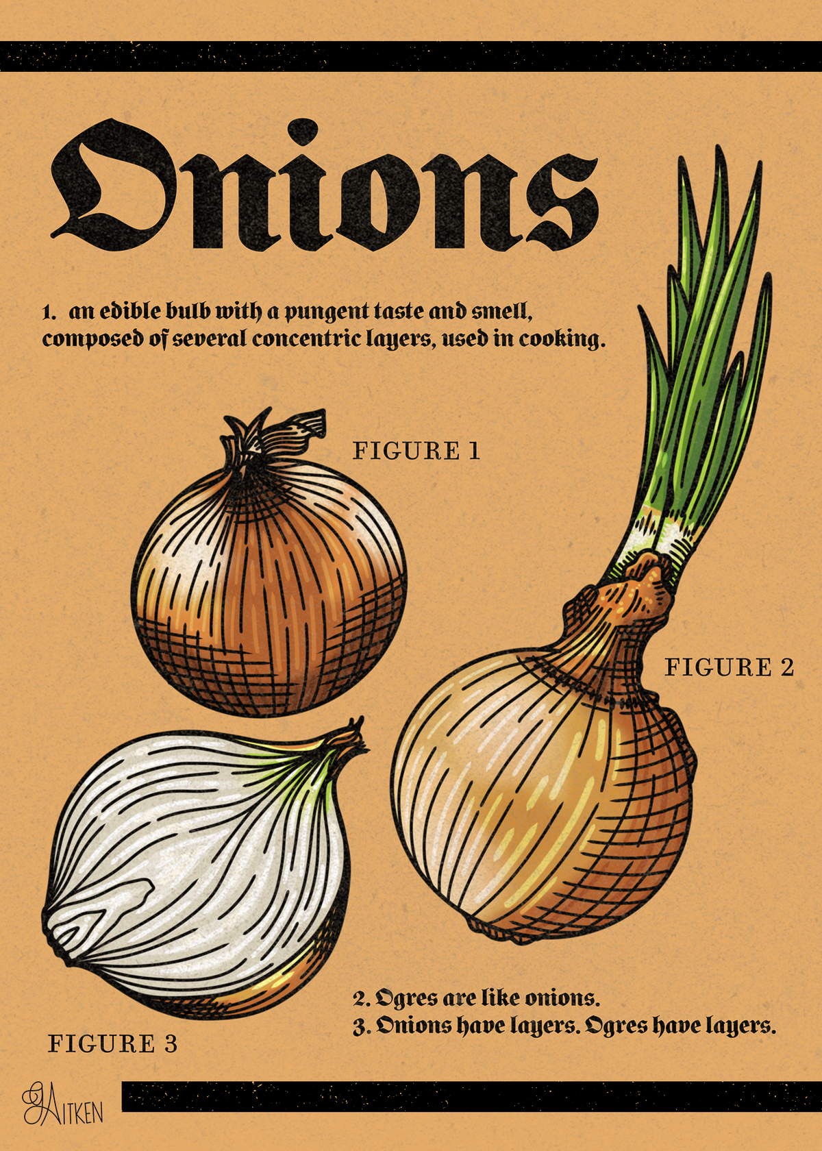 Onions — 5x7 art print