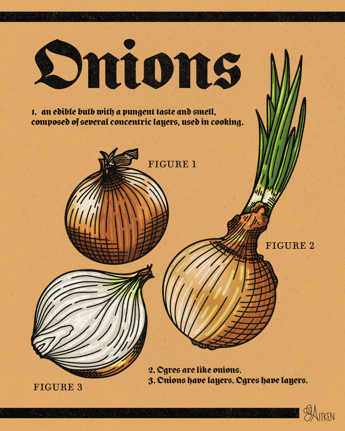 Onions — 8x10 art print