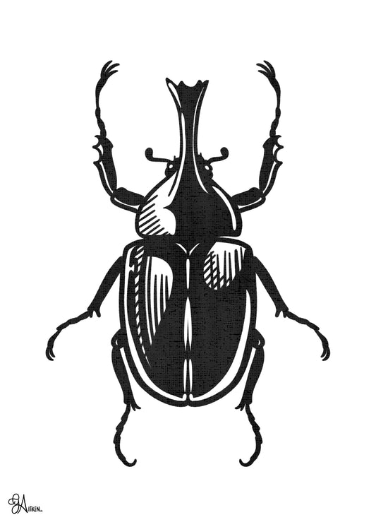 Rhinoceros Beetle black and white art print, 5x7