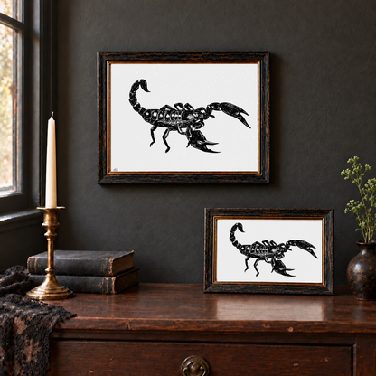 Scorpion art prints displayed in 8x10 wall and 5x7 tabletop frames
