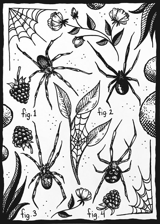 Spiders black and white art print, four illustrated spiders with webs, flowers, leaves and berries, 5x7