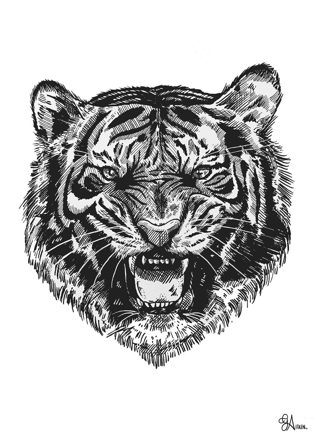 Tiger art print, 5x7, black and white pen portrait of a snarling tiger