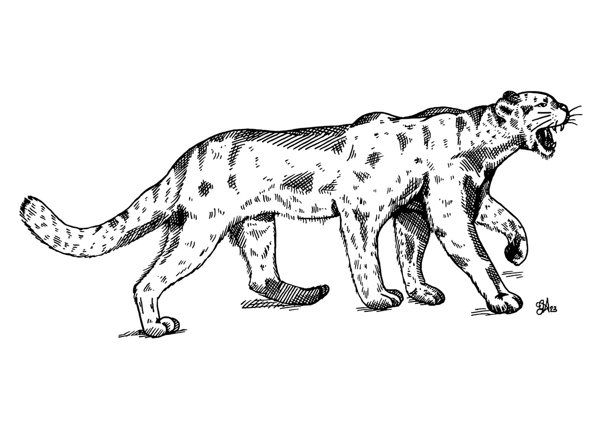 Wampus Cat art print, 5x7, landscape black and white six-legged cat