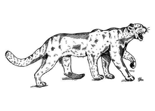 Wampus Cat art print, 5x7, landscape black and white six-legged cat