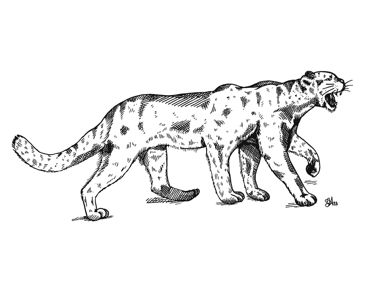 Wampus Cat art print, 8x10, landscape black and white six-legged cat